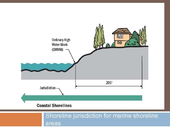 Shoreline jurisdiction for marine shoreline areas 