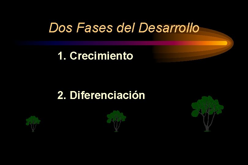 Dos Fases del Desarrollo 1. Crecimiento 2. Diferenciación 