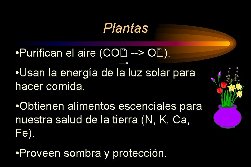 Plantas • Purifican el aire (CO --> O ). • Usan la energía de