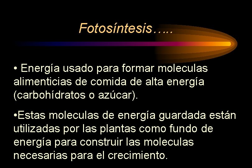 Fotosíntesis…. . • Energía usado para formar moleculas alimenticias de comida de alta energía