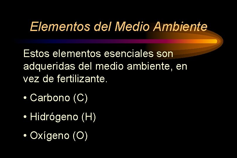 Elementos del Medio Ambiente Estos elementos esenciales son adqueridas del medio ambiente, en vez