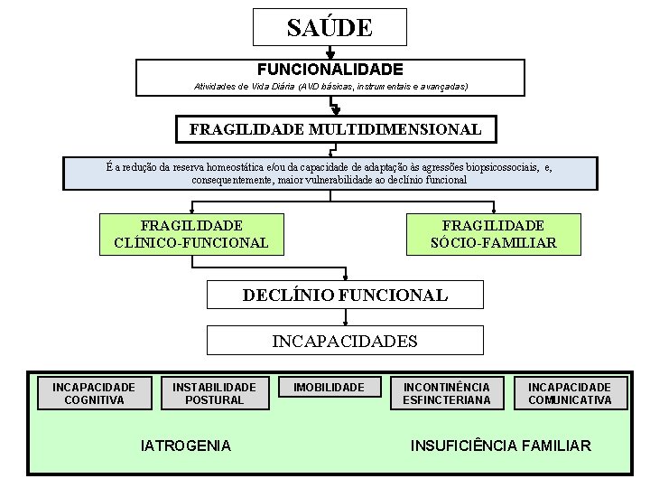SAÚDE FUNCIONALIDADE Atividades de Vida Diária (AVD básicas, instrumentais e avançadas) FRAGILIDADE MULTIDIMENSIONAL É