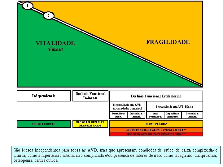 1 2 FRAGILIDADE VITALIDADE (Fitness) Independência Declínio Funcional Iminente Declínio Funcional Estabelecido Dependência em