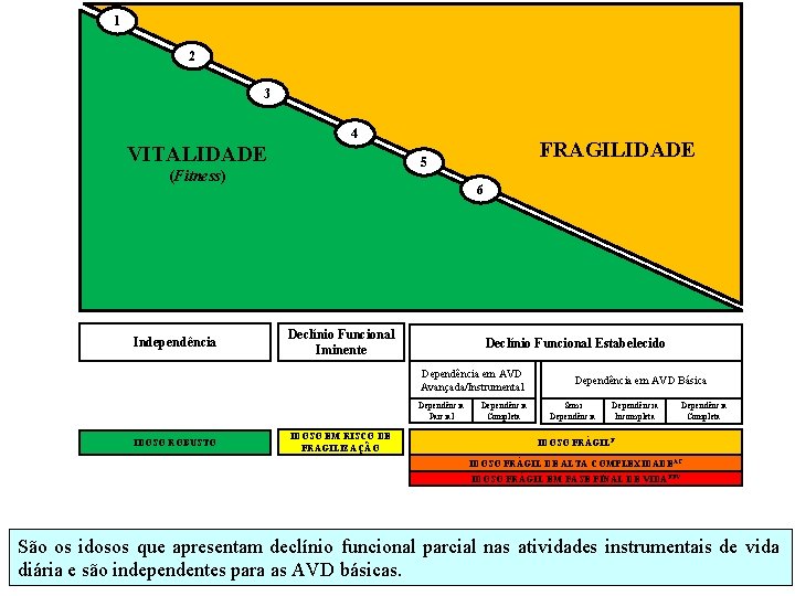 1 2 3 4 VITALIDADE (Fitness) Independência FRAGILIDADE 5 6 Declínio Funcional Iminente Declínio