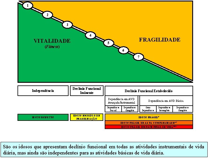 1 2 3 4 VITALIDADE FRAGILIDADE 5 (Fitness) 6 7 Independência Declínio Funcional Iminente