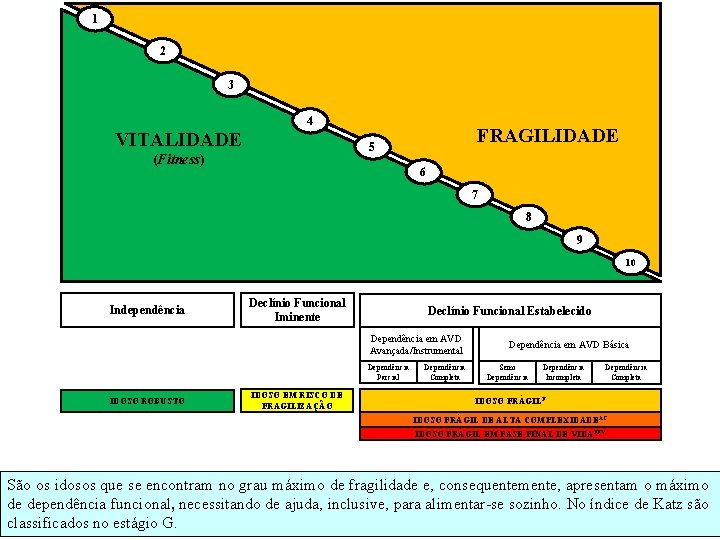 1 2 3 4 VITALIDADE FRAGILIDADE 5 (Fitness) 6 7 8 9 10 Independência