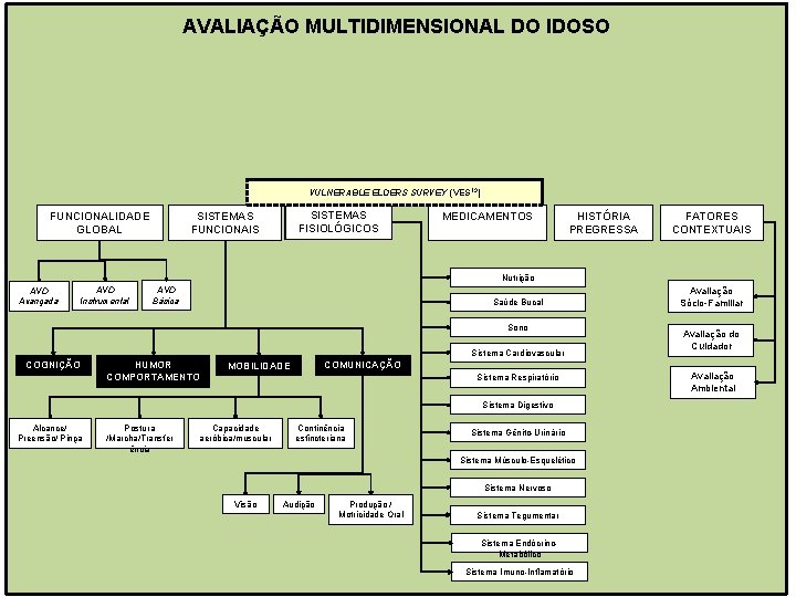 AVALIAÇÃO MULTIDIMENSIONAL DO IDOSO VULNERABLE ELDERS SURVEY (VES 13) FUNCIONALIDADE GLOBAL SISTEMAS FISIOLÓGICOS SISTEMAS
