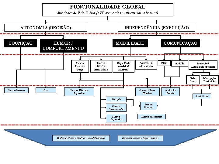FUNCIONALIDADE GLOBAL Atividades de Vida Diária (AVD avançadas, instrumentais e básicas) AUTONOMIA (DECISÃO) COGNIÇÃO