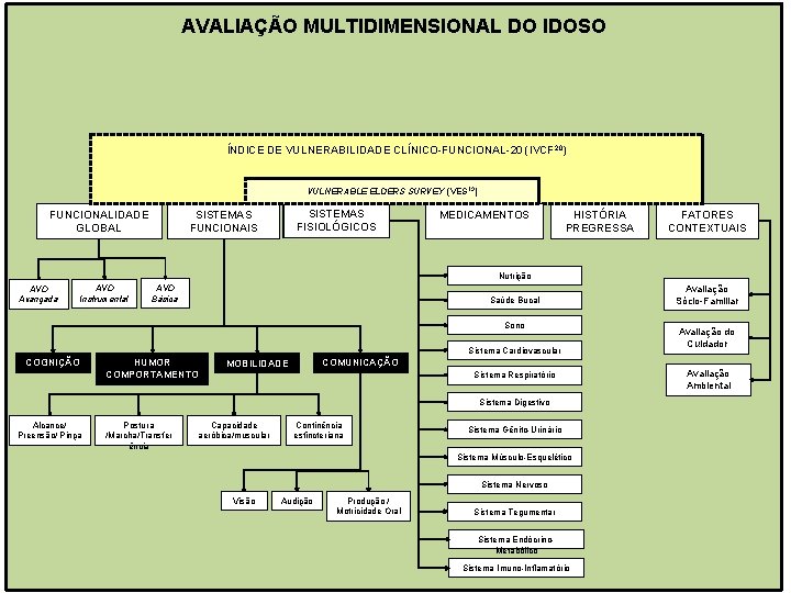 AVALIAÇÃO MULTIDIMENSIONAL DO IDOSO ÍNDICE DE VULNERABILIDADE CLÍNICO-FUNCIONAL-20 (IVCF 20) VULNERABLE ELDERS SURVEY (VES