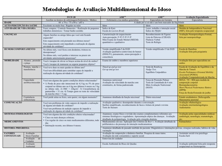 Metodologias de Avaliação Multidimensional do Idoso 