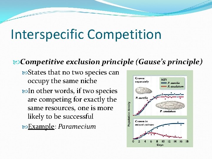 Interspecific Competition Competitive exclusion principle (Gause’s principle) States that no two species can occupy