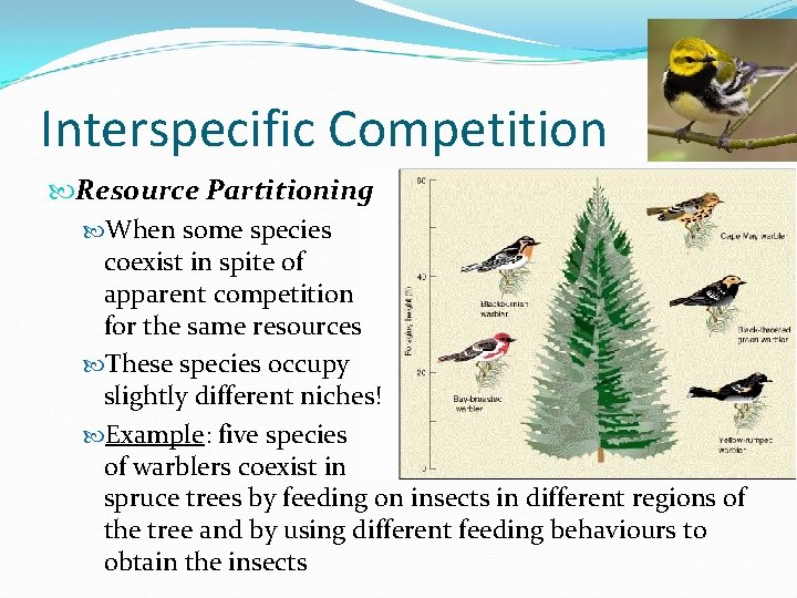 Interspecific Competition Resource Partitioning When some species coexist in spite of apparent competition for
