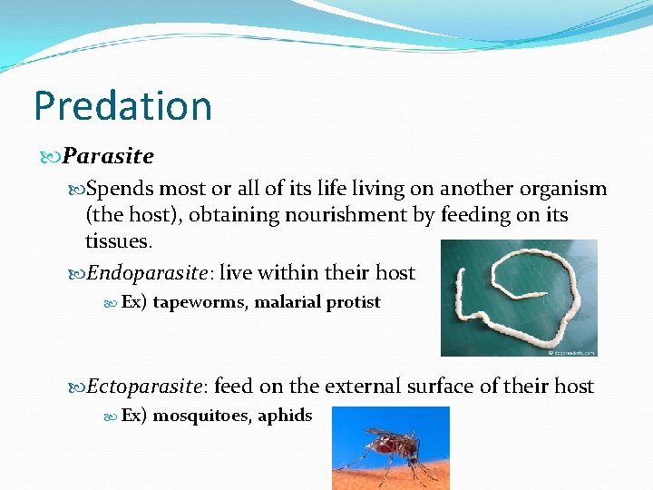 Predation Parasite Spends most or all of its life living on another organism (the