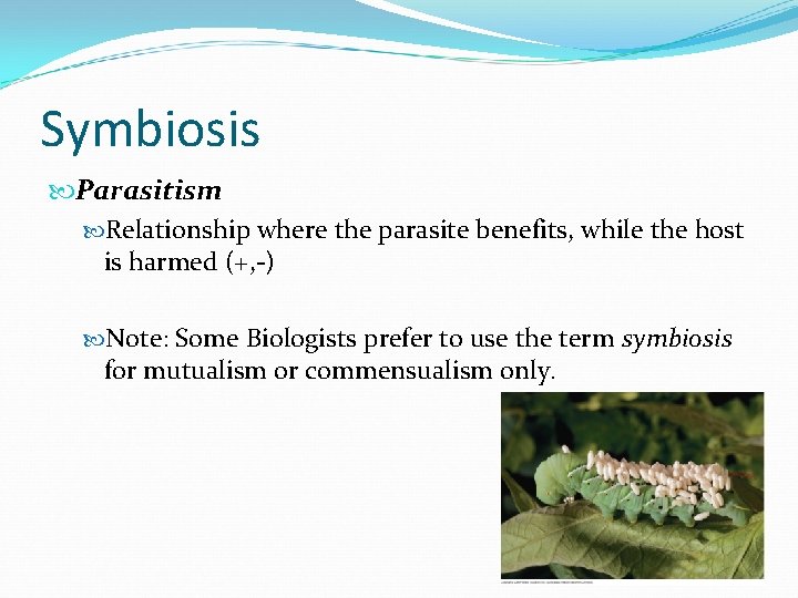Symbiosis Parasitism Relationship where the parasite benefits, while the host is harmed (+, -)