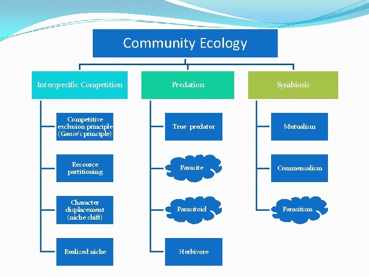 Community Ecology Interspecific Competition Competitive exclusion principle (Gause’s principle) Predation True predator Resource partitioning