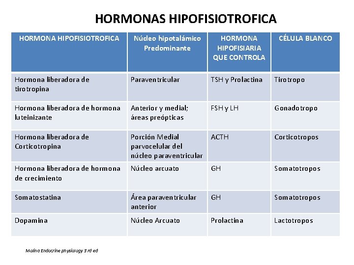 HORMONAS HIPOFISIOTROFICA HORMONA HIPOFISIOTROFICA Núcleo hipotalámico Predominante HORMONA HIPOFISIARIA QUE CONTROLA CÉLULA BLANCO Hormona