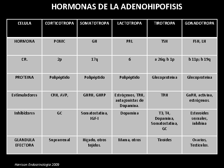 HORMONAS DE LA ADENOHIPOFISIS CELULA CORTICOTROPA SOMATOTROPA LACTOTROPA TIROTROPA GONADOTROPA HORMONA POMC GH PRL