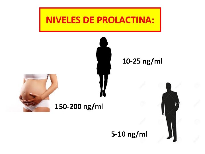 NIVELES DE PROLACTINA: 10 -25 ng/ml 150 -200 ng/ml 5 -10 ng/ml 