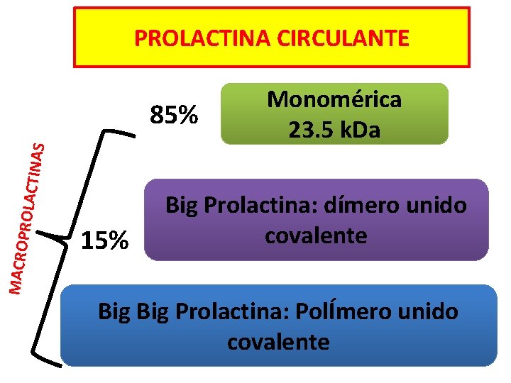 PROLACTINA CIRCULANTE MACRO PROLAC TIN AS 85% 15% Monomérica 23. 5 k. Da Big