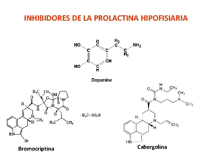 INHIBIDORES DE LA PROLACTINA HIPOFISIARIA Bromocriptina Cabergolina 