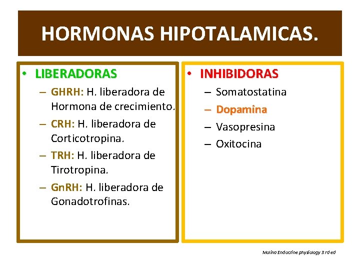 HORMONAS HIPOTALAMICAS. • LIBERADORAS – GHRH: H. liberadora de Hormona de crecimiento. – CRH: