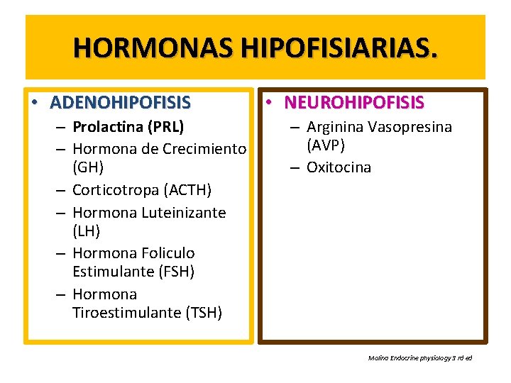 HORMONAS HIPOFISIARIAS. • ADENOHIPOFISIS – Prolactina (PRL) – Hormona de Crecimiento (GH) – Corticotropa
