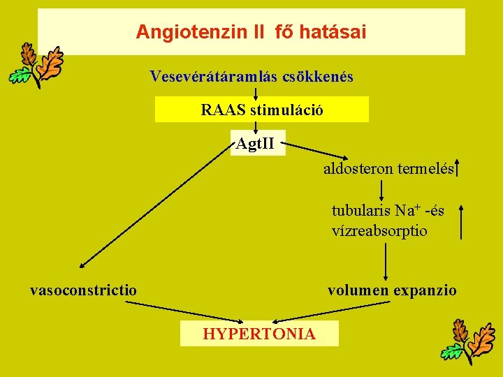 szekunder hypertonia okai)