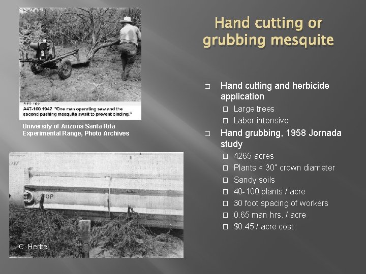 Hand cutting or grubbing mesquite � Hand cutting and herbicide application Large trees � Hand cutting or grubbing mesquite � Hand cutting and herbicide application Large trees �