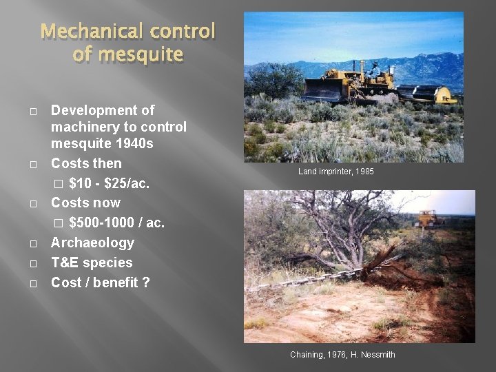 Mechanical control of mesquite � � � Development of machinery to control mesquite 1940
