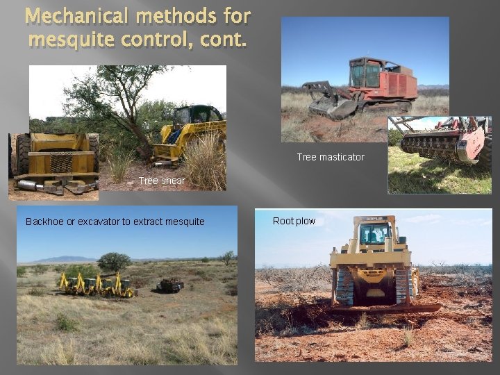 Mechanical methods for mesquite control, cont. Tree masticator Tree shear Backhoe or excavator to