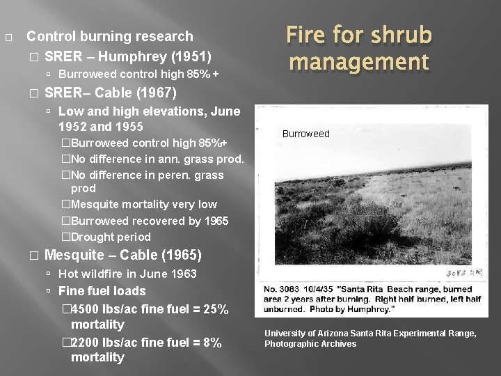 � Control burning research � SRER – Humphrey (1951) Burroweed control high 85% +