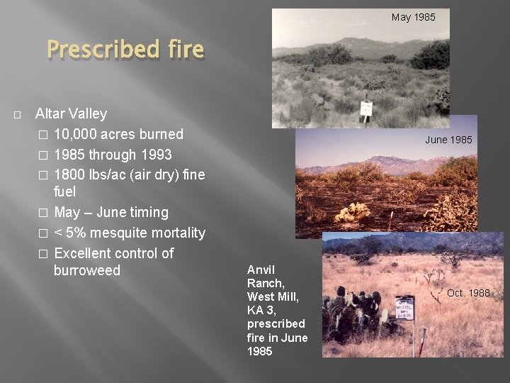 May 1985 Prescribed fire � Altar Valley � 10, 000 acres burned � 1985