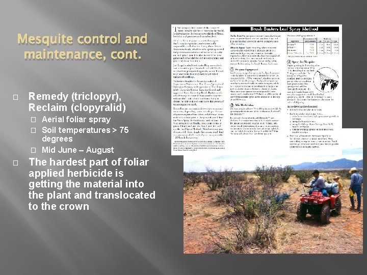 Mesquite control and maintenance, cont. � Remedy (triclopyr), Reclaim (clopyralid) Aerial foliar spray � Mesquite control and maintenance, cont. � Remedy (triclopyr), Reclaim (clopyralid) Aerial foliar spray �
