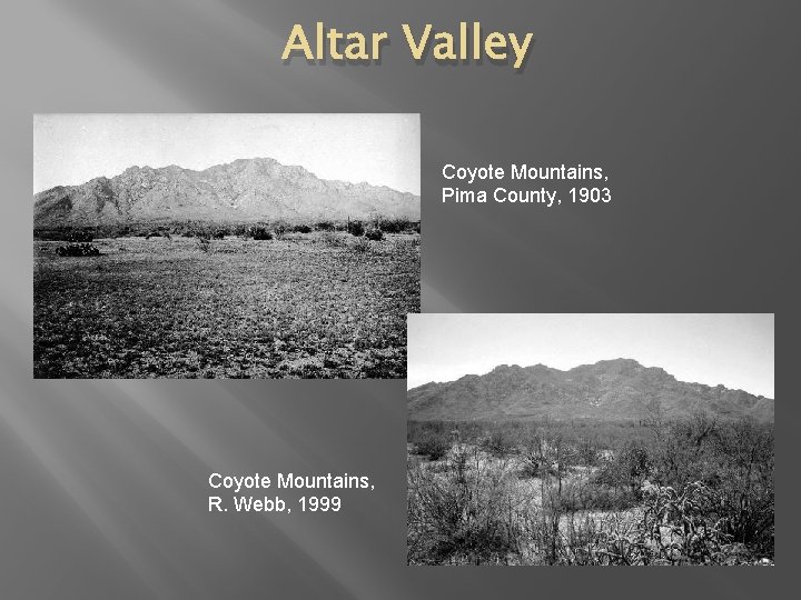 Altar Valley Coyote Mountains, Pima County, 1903 Coyote Mountains, R. Webb, 1999 