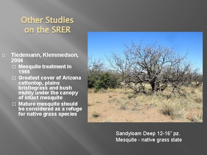 Other Studies on the SRER � Tiedemann, Klemmedson, 2004 Mesquite treatment in 1966 �