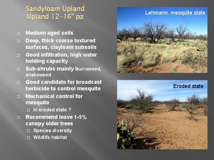 Sandyloam Upland 12 -16” pz � � Lehmann, mesquite state Medium aged soils Deep,