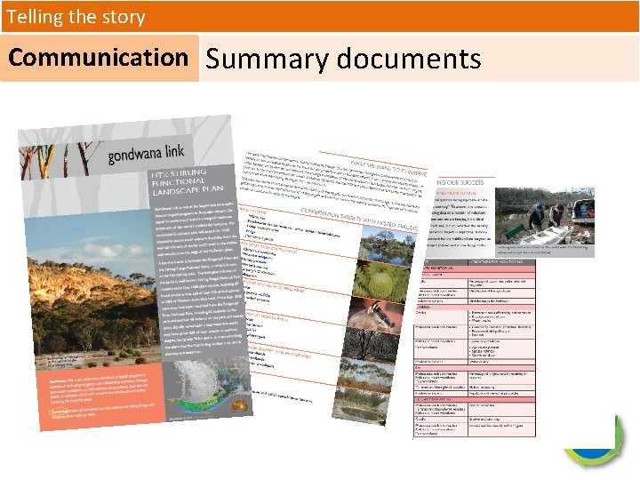 Telling the story Communication Summary documents 