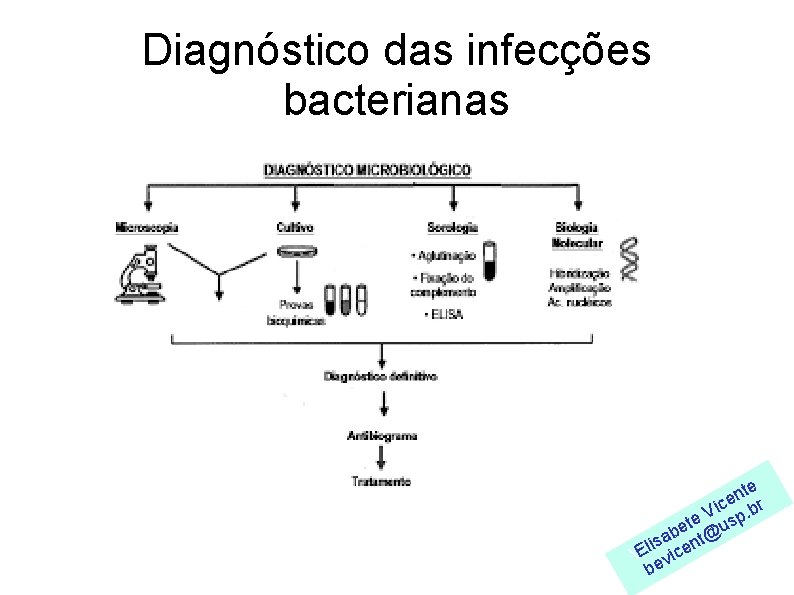 Diagnóstico das infecções bacterianas nte e ic. br V te usp e b t@
