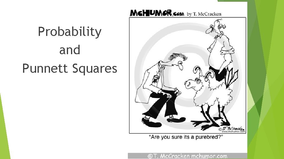 Probability and Punnett Squares 