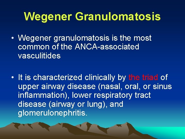 Wegener Granulomatosis • Wegener granulomatosis is the most common of the ANCA-associated vasculitides •