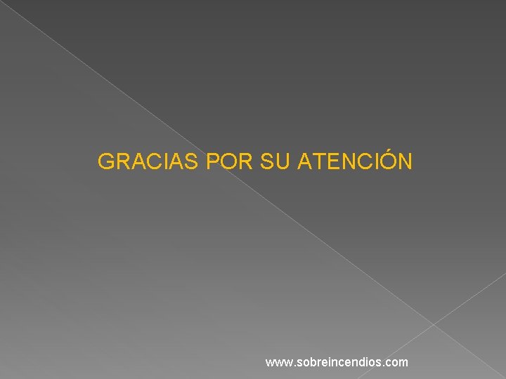 GRACIAS POR SU ATENCIÓN www. sobreincendios. com 