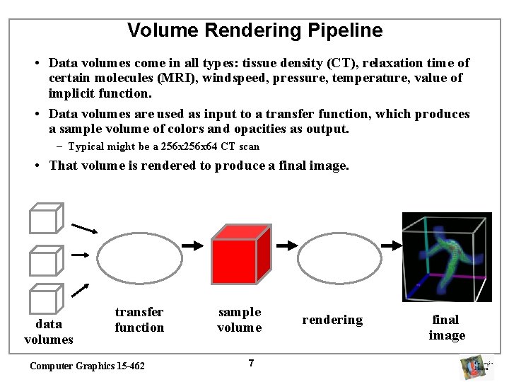 Volume Rendering Pipeline • Data volumes come in all types: tissue density (CT), relaxation