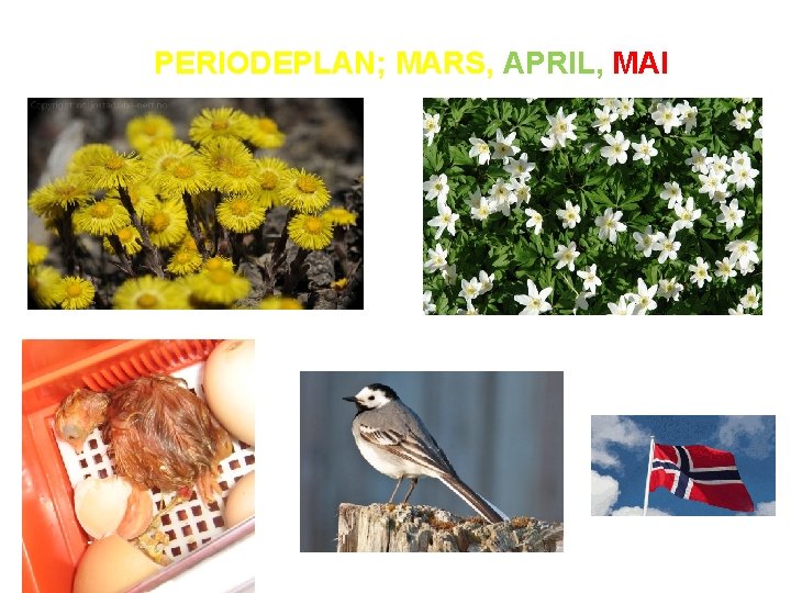 PERIODEPLAN; MARS, APRIL, MAI 