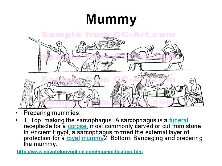 Mummy • Preparing mummies: • 1. Top: making the sarcophagus. A sarcophagus is a