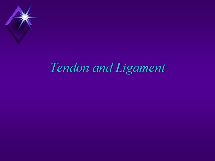 Tendon and Ligament 