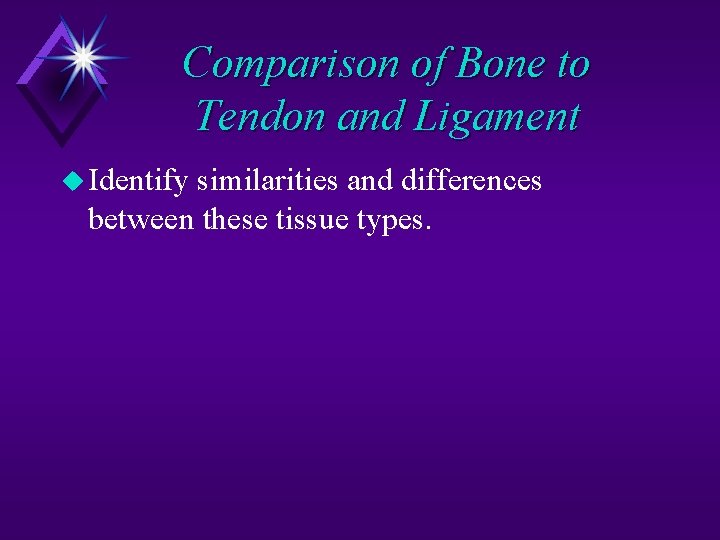 Comparison of Bone to Tendon and Ligament u Identify similarities and differences between these