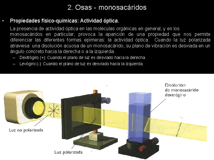 2. Osas - monosacáridos • Propiedades físico-químicas: Actividad óptica. La presencia de actividad óptica 2. Osas - monosacáridos • Propiedades físico-químicas: Actividad óptica. La presencia de actividad óptica