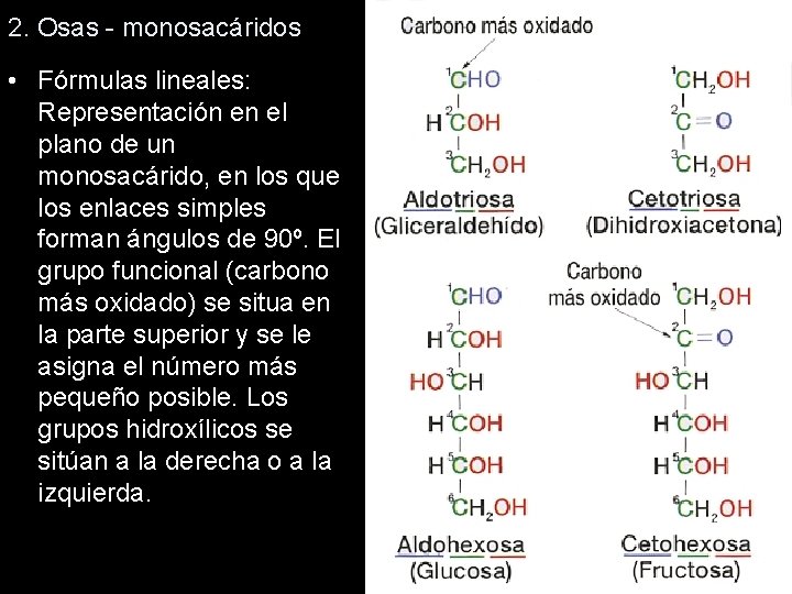 2. Osas - monosacáridos • Fórmulas lineales: Representación en el plano de un monosacárido, 2. Osas - monosacáridos • Fórmulas lineales: Representación en el plano de un monosacárido,