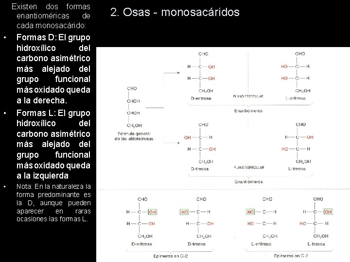 Existen dos formas enantioméricas de cada monosacárido: • • • Formas D: El grupo Existen dos formas enantioméricas de cada monosacárido: • • • Formas D: El grupo