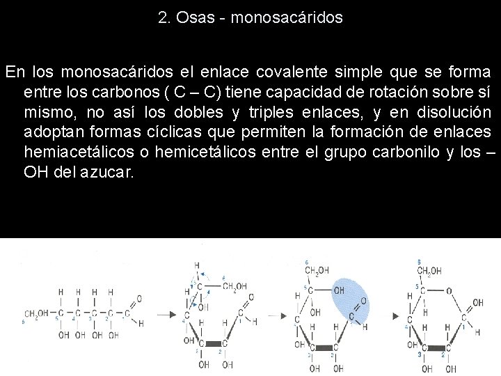 2. Osas - monosacáridos En los monosacáridos el enlace covalente simple que se forma 2. Osas - monosacáridos En los monosacáridos el enlace covalente simple que se forma